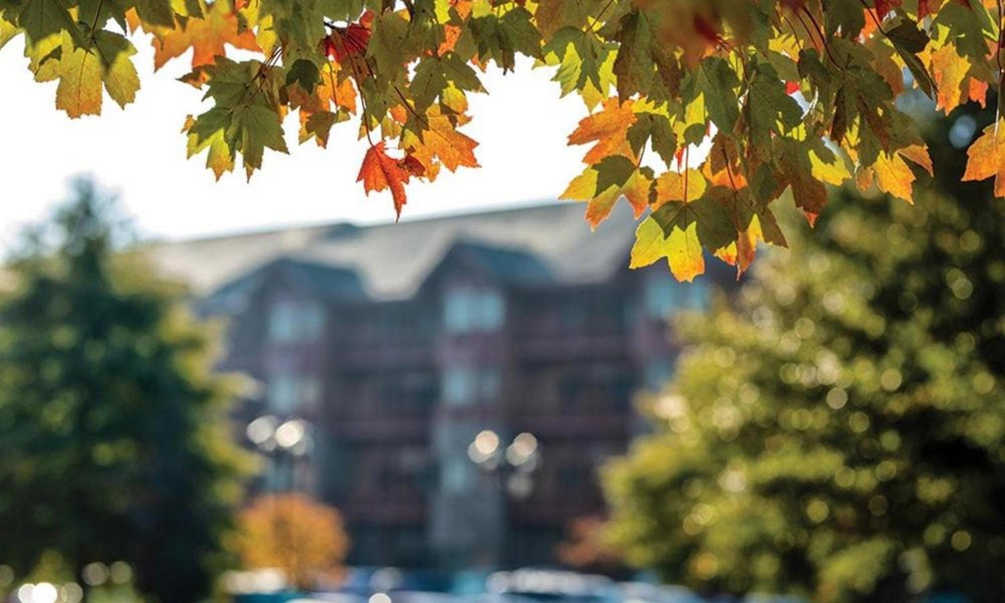Great Smokies Lodge Sevierville By Hellovacay Exterior photo